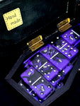 Spooky Skeletons Dominoes Set in Coffin Storage Box