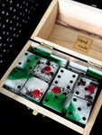 Lady Bug Garden Dominoes Set
